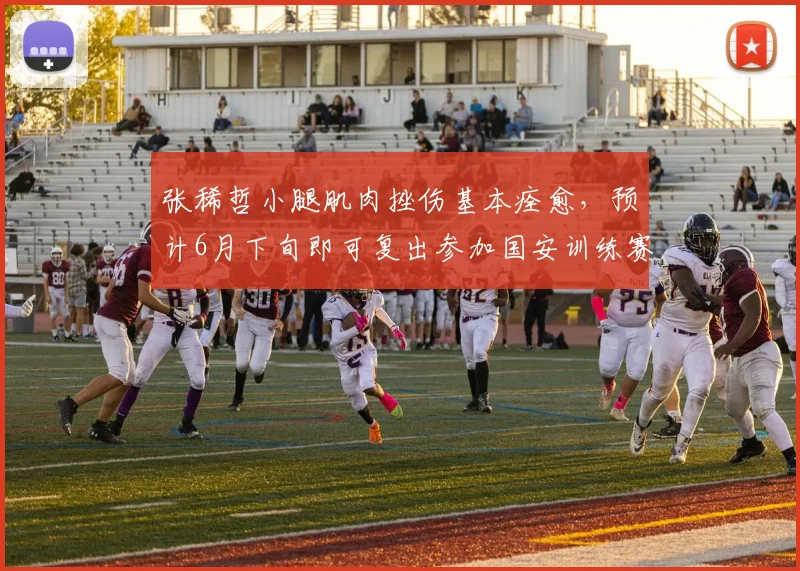 张稀哲小腿肌肉挫伤基本痊愈，预计6月下旬即可复出参加国安训练赛